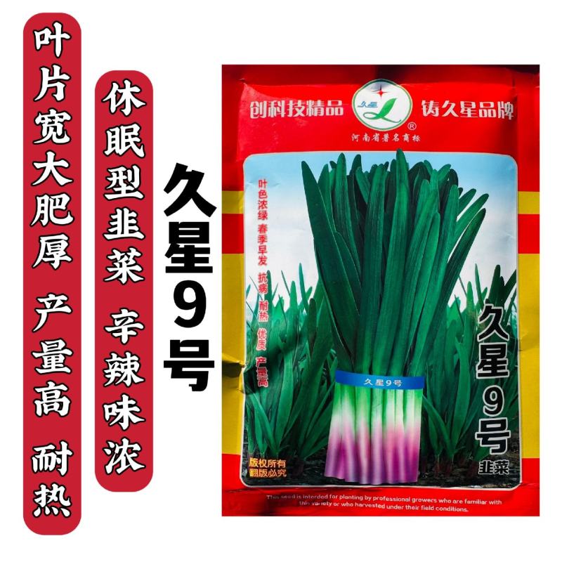 久星9号韭菜种子红根韭菜种籽大叶高产耐热优质休眠型韭菜