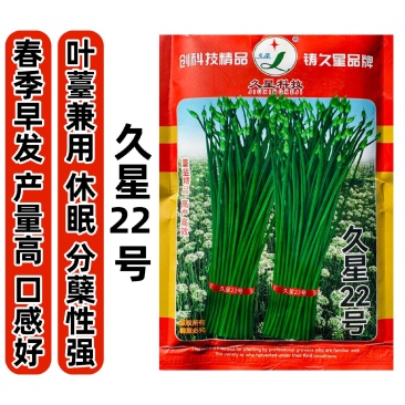 久星22号韭菜种子苔韭种子两用韭苔耐热耐寒大田休眠韭菜种