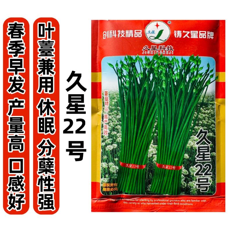 久星22号韭菜种子苔韭种子两用韭苔耐热耐寒大田休眠韭菜种