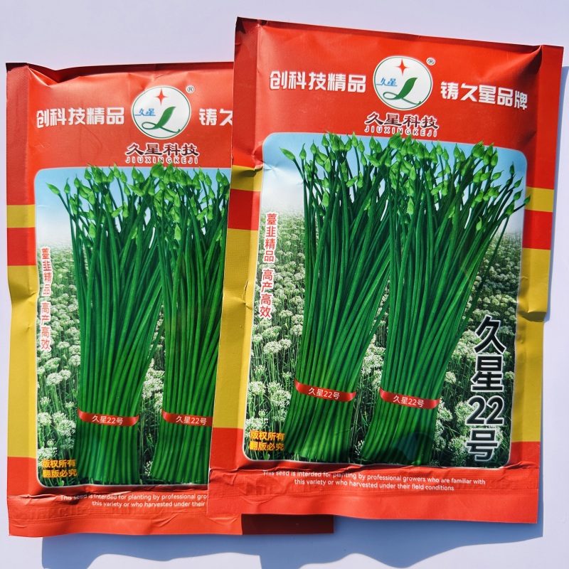 久星22号韭菜种子苔韭种子两用韭苔耐热耐寒大田休眠韭菜种