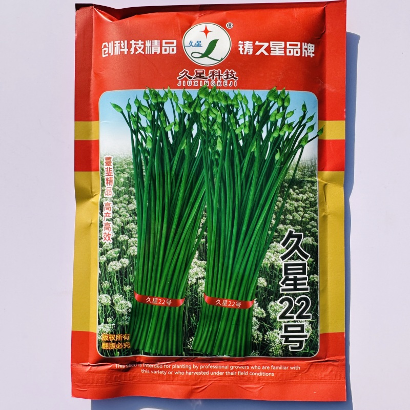 久星22号韭菜种子苔韭种子两用韭苔耐热耐寒大田休眠韭菜种