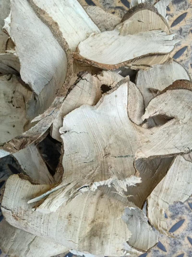 【复购高】岗梅树根切片烤干货/一手货源/视频看货/