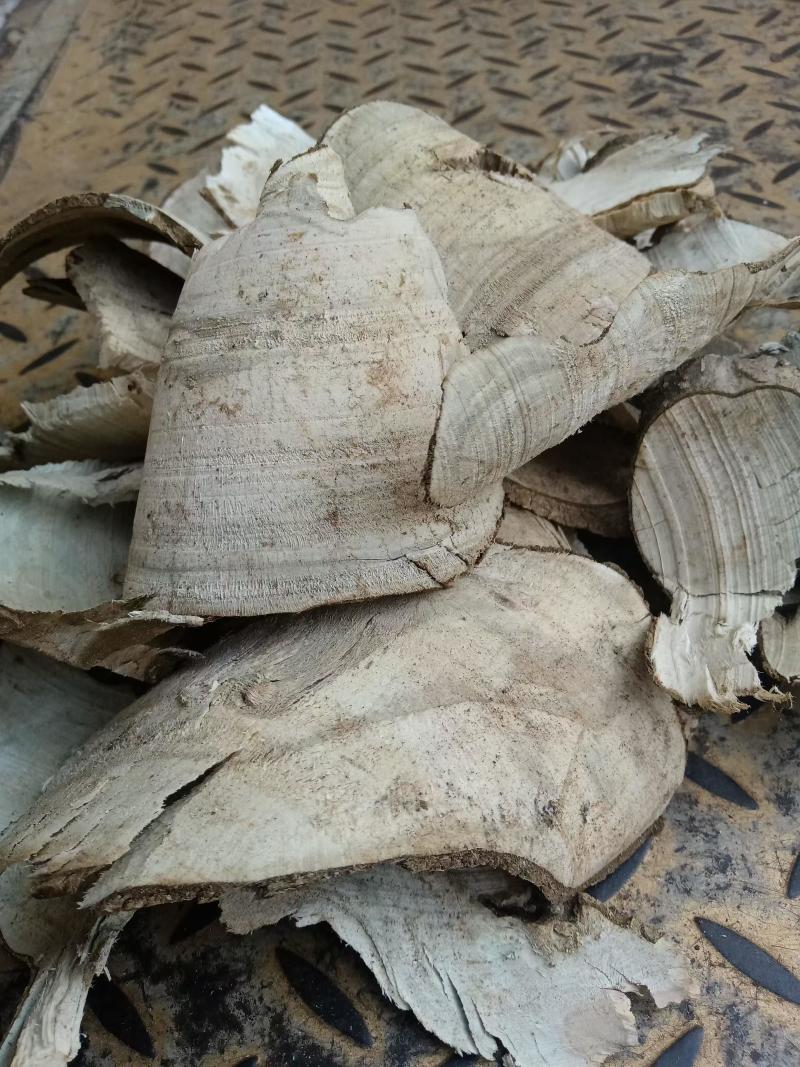 【复购高】岗梅树根切片烤干货/一手货源/视频看货/