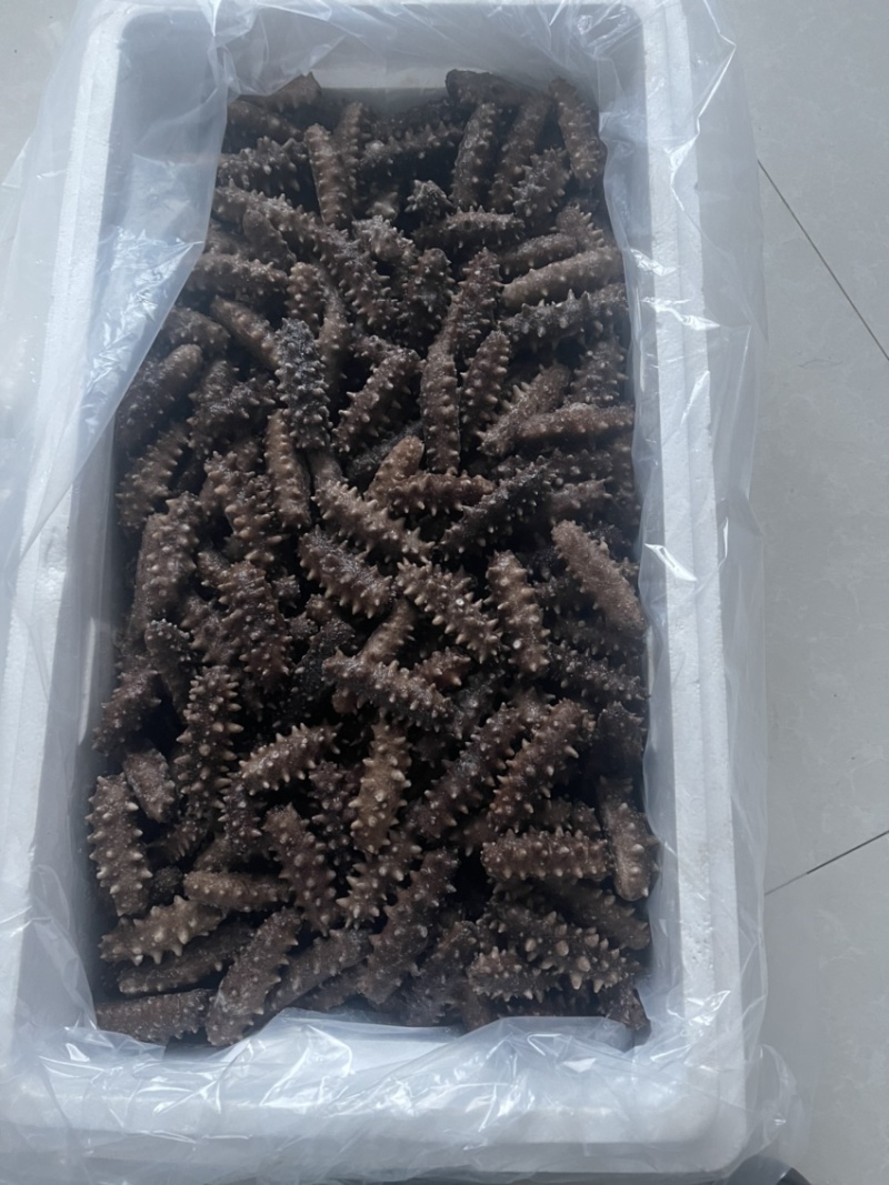 小头即食海参半斤装企业活动旅行社赠品