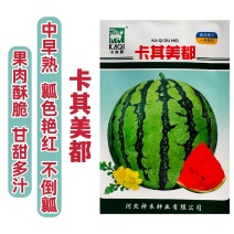卡其美都西瓜种子少籽超甜水果种子酥脆多汁瓤色艳红杂交西瓜