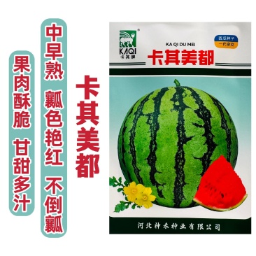 卡其美都西瓜种子少籽超甜水果种子酥脆多汁瓤色艳红杂交西瓜