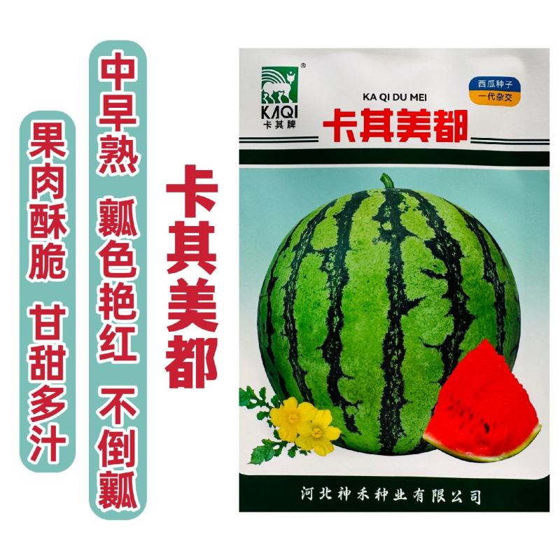 卡其美都西瓜种子少籽超甜水果种子酥脆多汁瓤色艳红杂交西瓜