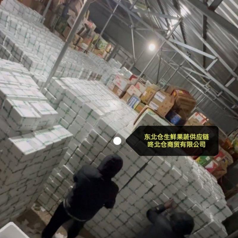 辽宁北镇精品绿宝甜瓜新鲜上市一件代发货源充足