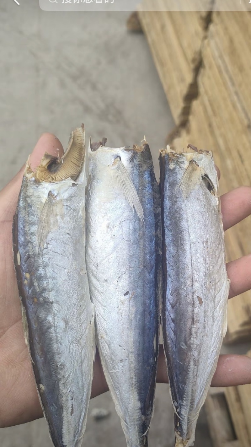 巴浪鱼干