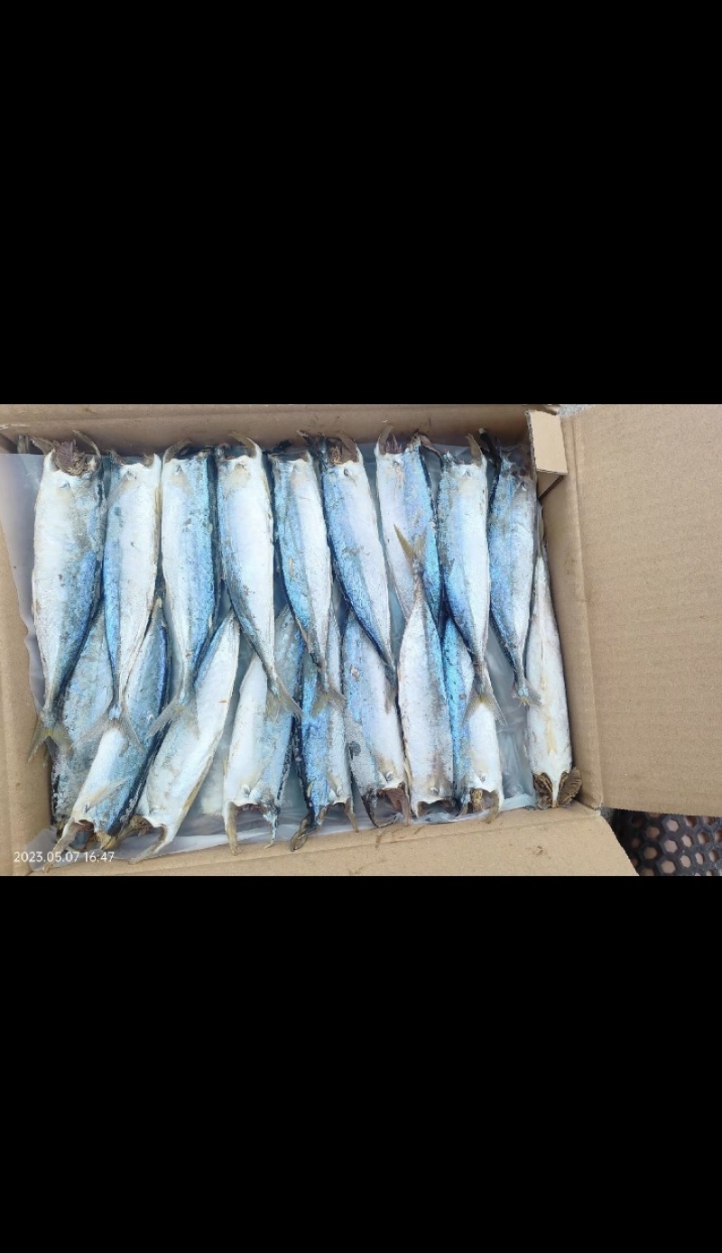 巴浪鱼干