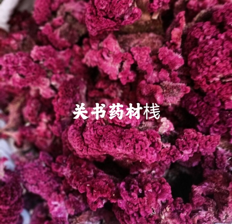鸡冠花鸡冠花干新货颜色红手捡货规格齐全质量保证