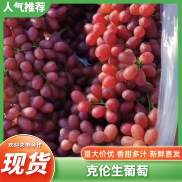 克伦生葡萄大量上市，甜度高，全国发货，量大从优