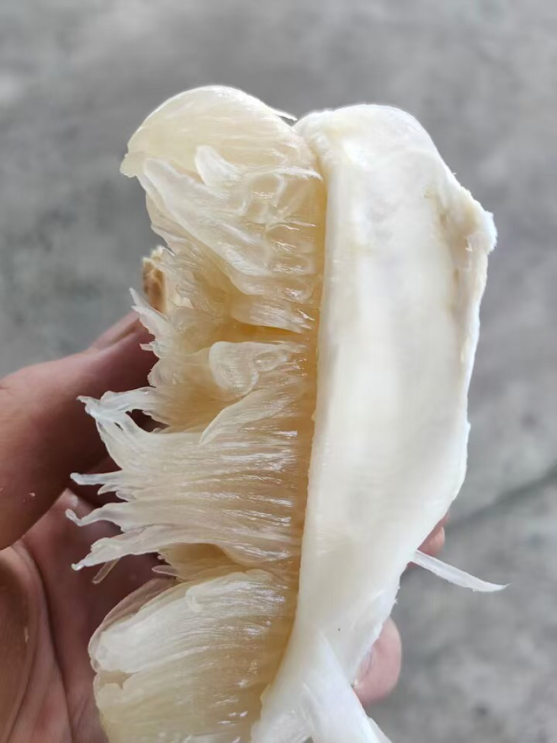 【牛商推荐】精品江永香柚产地直发价格美丽欢迎选购