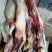 腊鸡条颜色好，条形好，干度好，肉多，带独立挂绳。