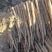 应季山药现货秒发价格美丽欢迎联系基地直发一手货源欢迎致电