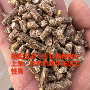 熟化玉米颗粒，含有玉米粒，玉米皮，玉米毛糠，适合猪牛羊，