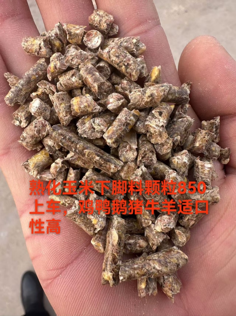 熟化玉米颗粒，含有玉米粒，玉米皮，玉米毛糠，适合猪牛羊，