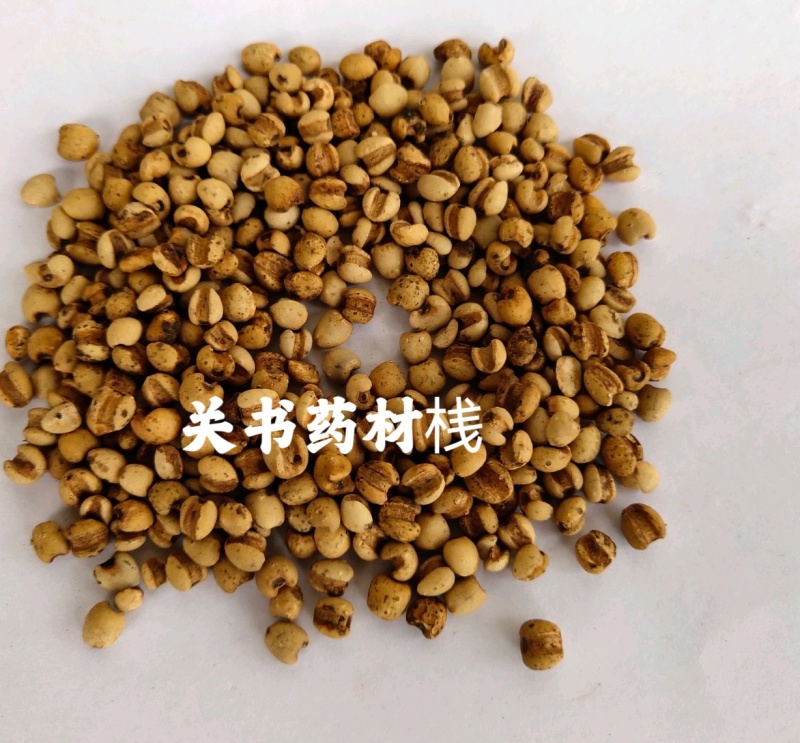 薏米仁薏米仁选关书药业批发各种规格
