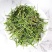 竹叶干货散装药食同源2斤起包邮量大从优