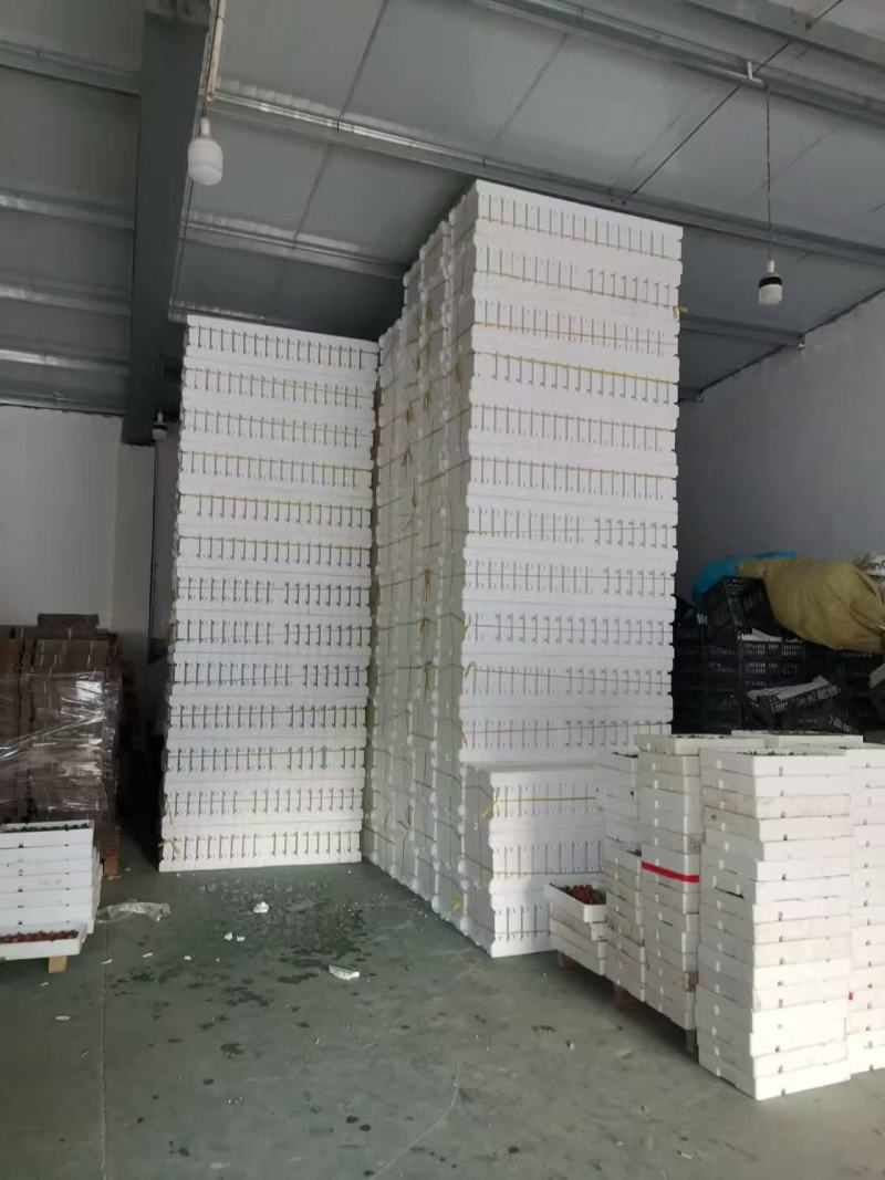【推荐】草莓山东甜宝草莓大量供应产地直发对接市场