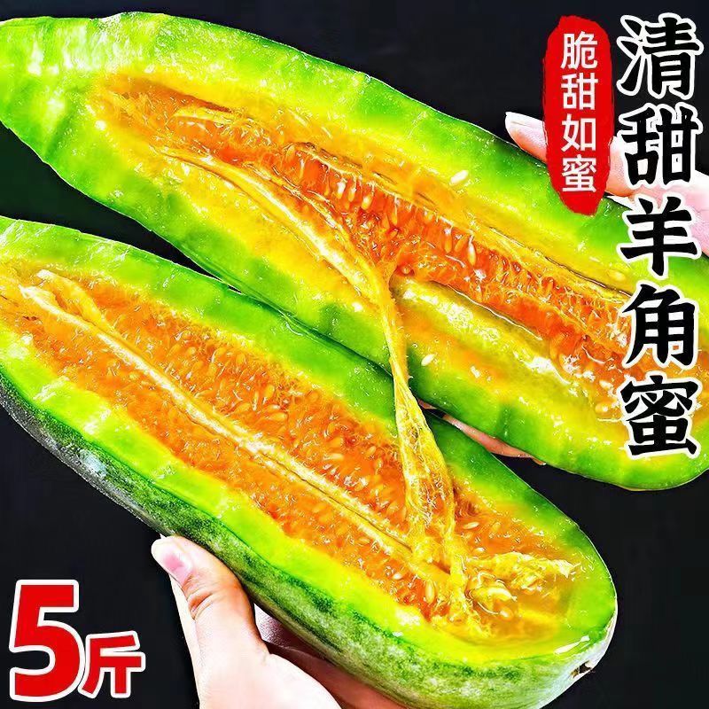 山东聊城莘县正宗羊角蜜头茬甜瓜质量保证货源充足