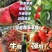 【推荐】草莓山东甜宝草莓大量供应产地直发对接市场