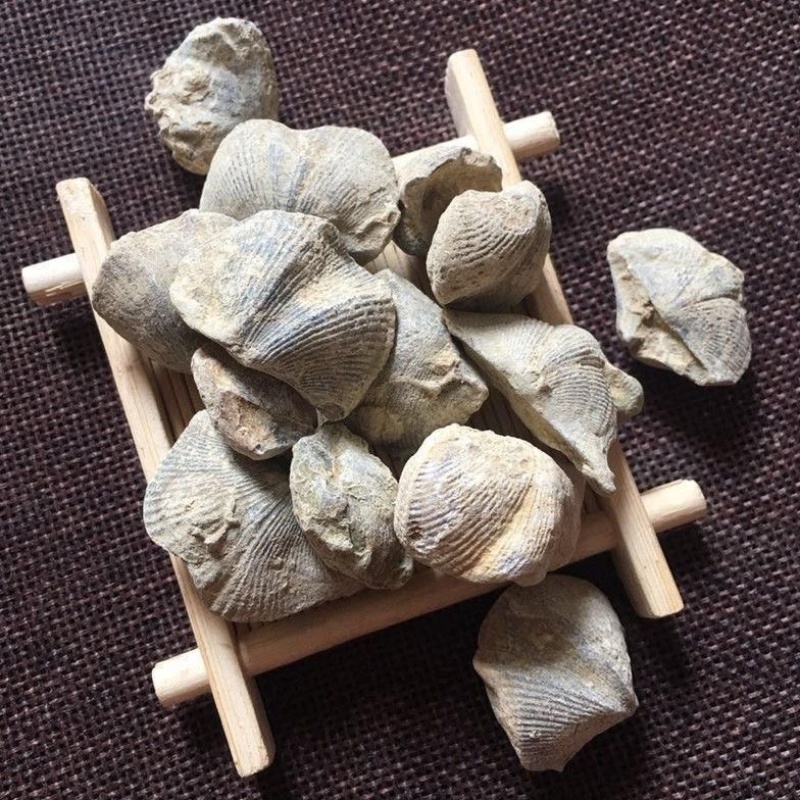 湖南省中药材石燕燕子石/原产地直发/批发/欢迎咨询