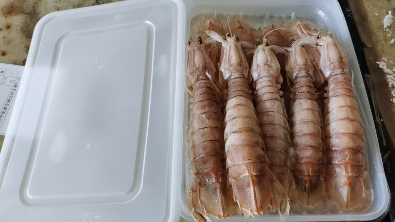 皮皮虾