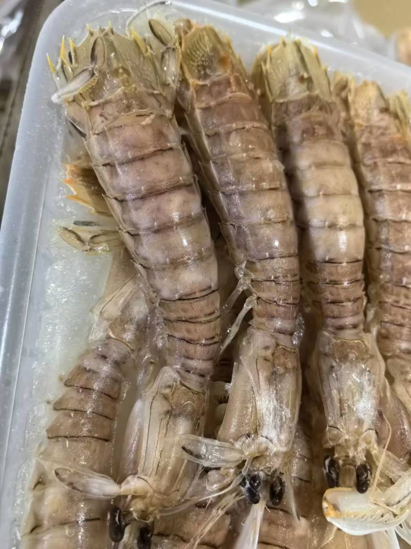皮皮虾