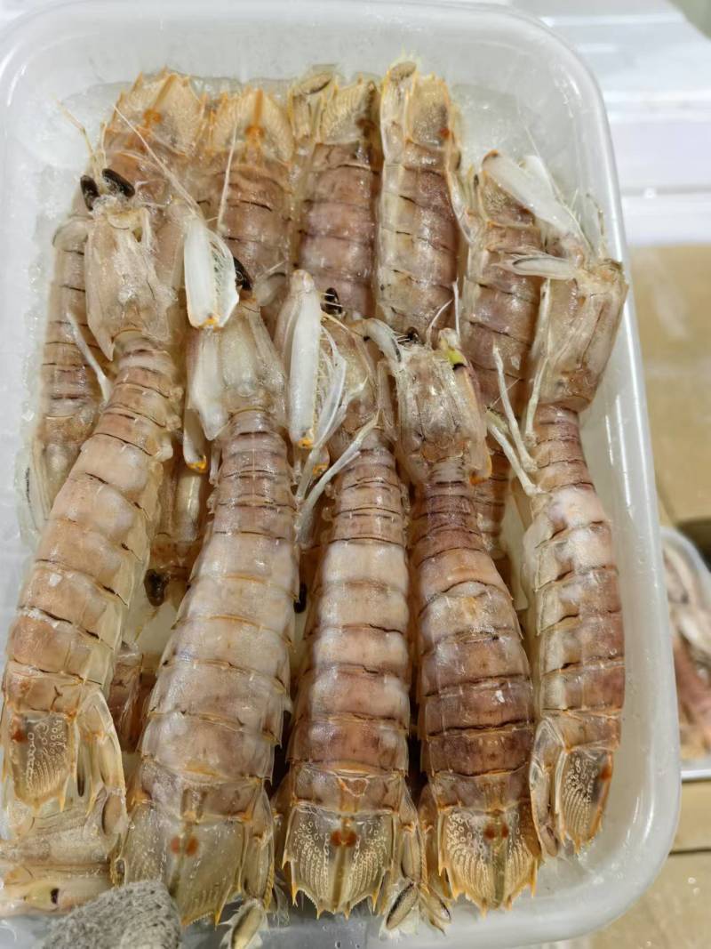 皮皮虾