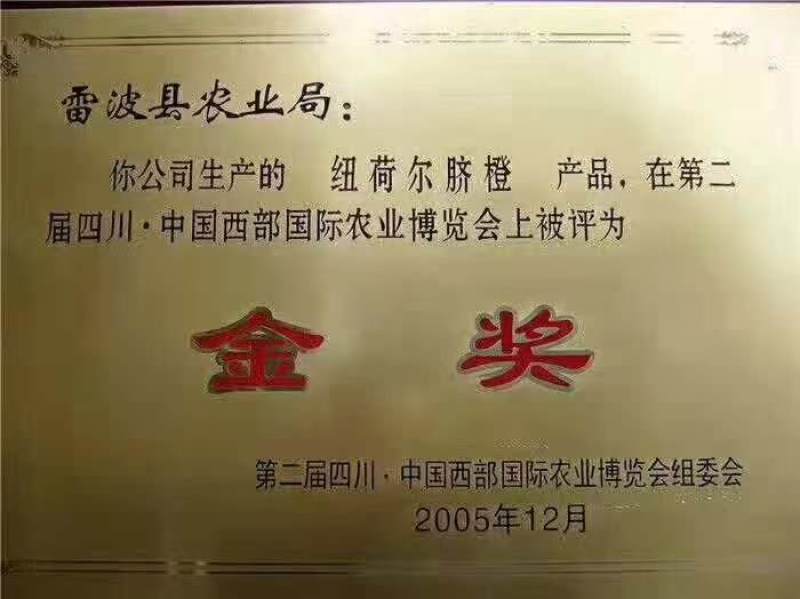 凉山雷波县雷波脐橙，对接精品采购商家，可批发采购，欢迎咨