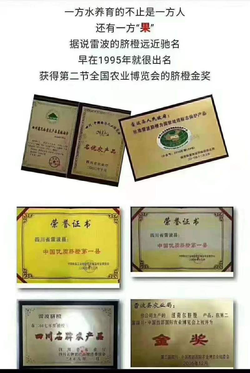 凉山雷波县雷波脐橙，对接精品采购商家，可批发采购，欢迎咨