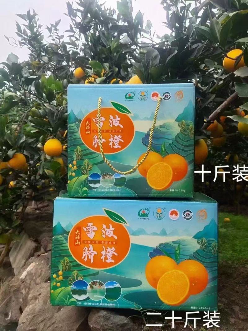 凉山雷波县雷波脐橙，对接精品采购商家，可批发采购，欢迎咨