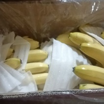 精品云南蕉，质量三包，净重17斤毛重18斤