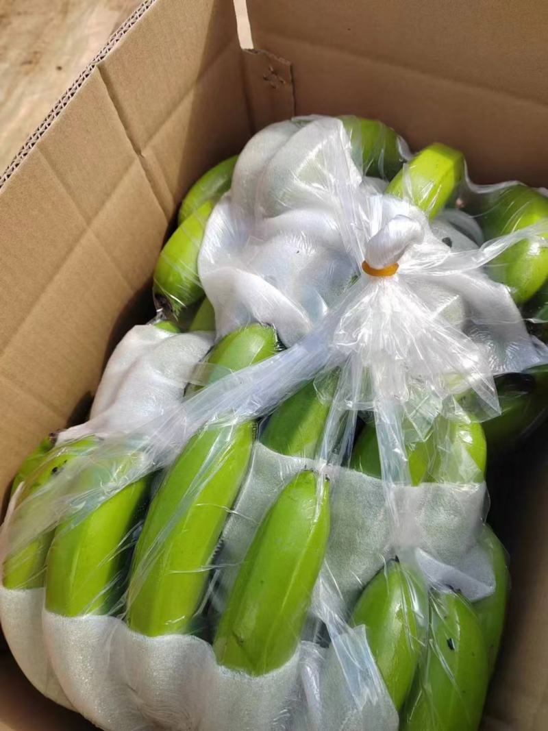 精品云南蕉，质量三包，净重17斤毛重18斤