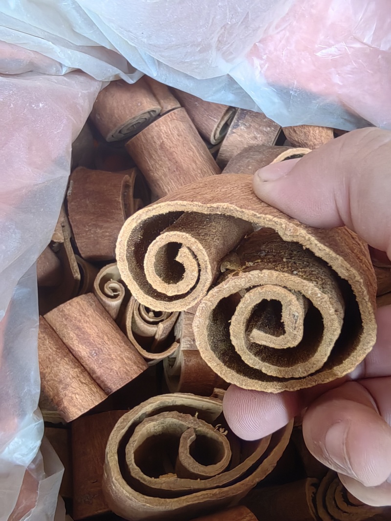 广西防城油桂，源头厂家，品质保证，价格实惠。