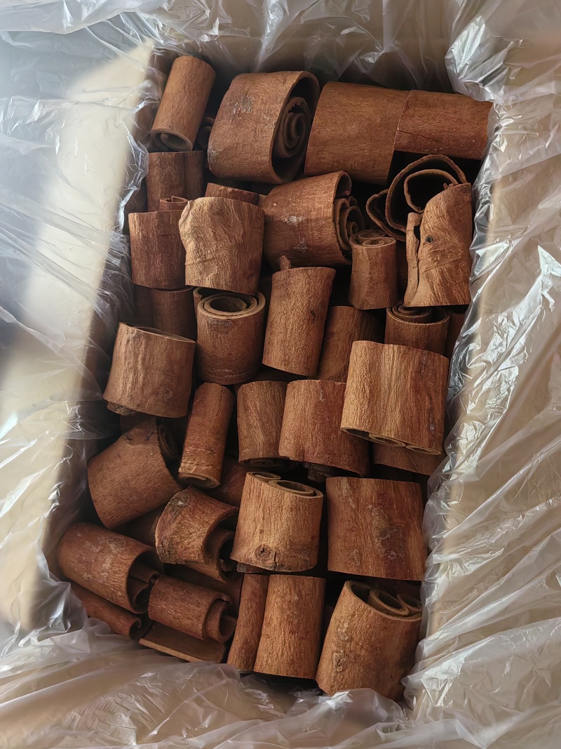 广西防城油桂，源头厂家，品质保证，价格实惠。