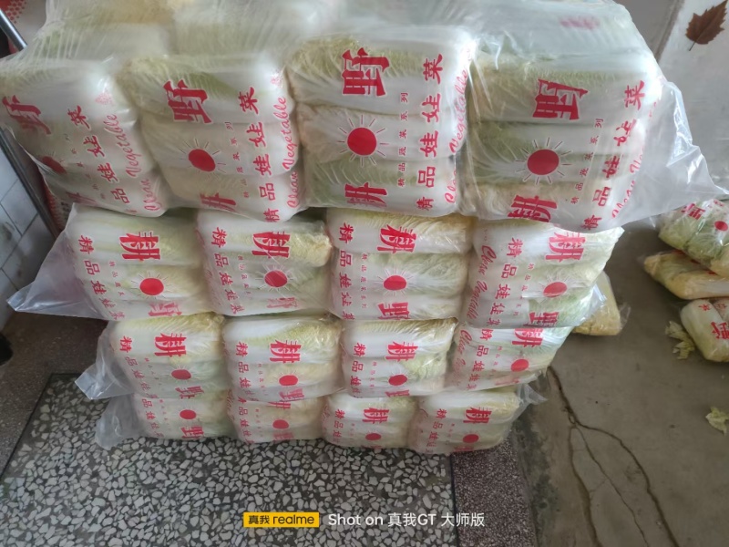 精品娃娃菜，