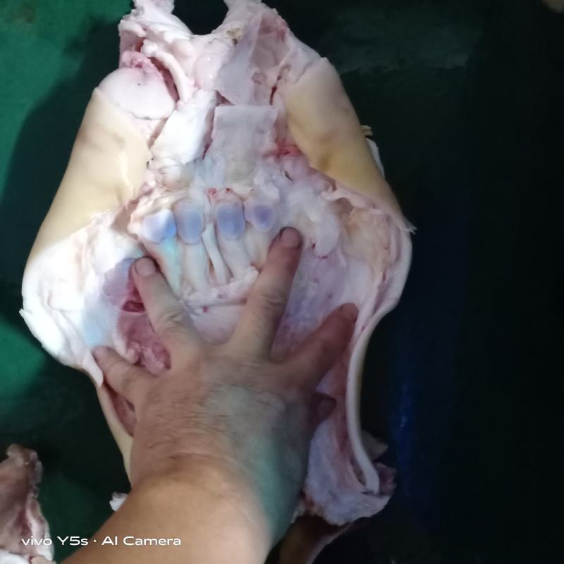 清真纯干无注水无调理牛腹肉