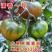 特色大果草莓西红柿苗草莓柿子碱地柿子大果草莓番茄