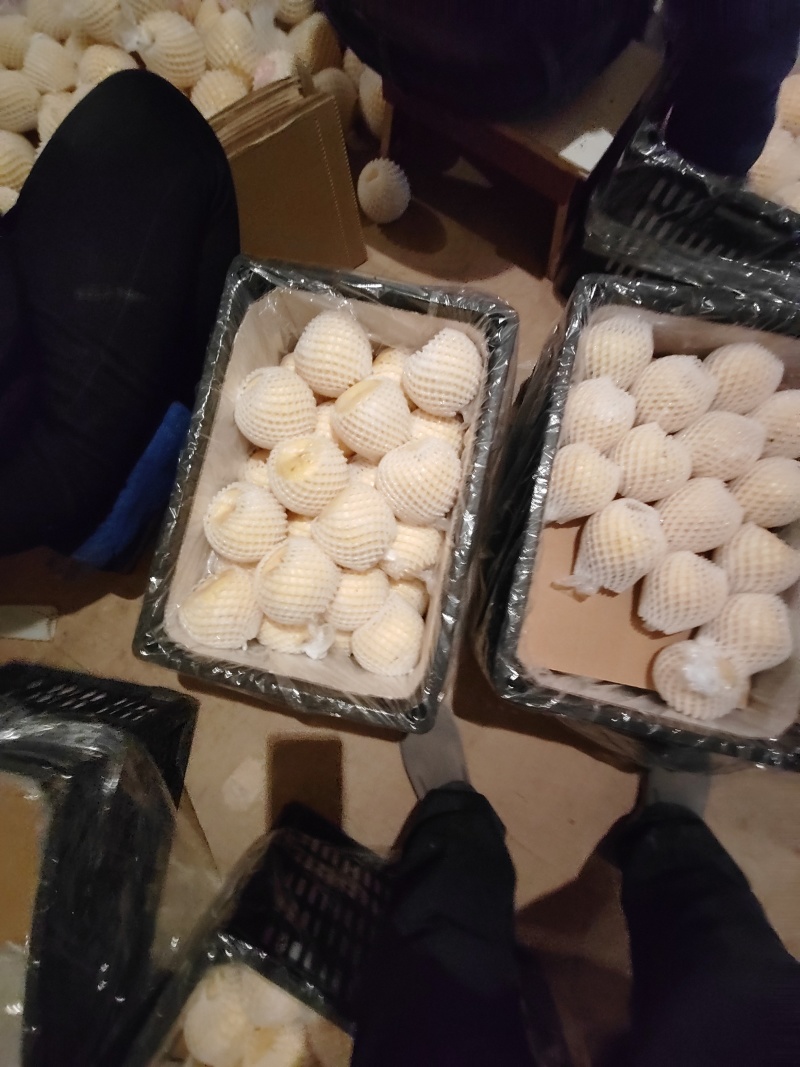 陕西省咸阳市乾县酥梨