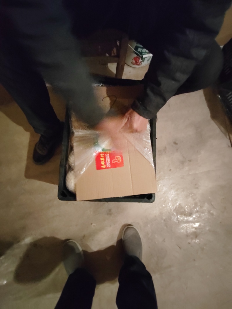 陕西省咸阳市乾县酥梨