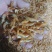 半野生草虾干