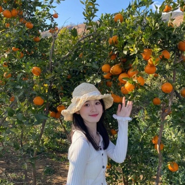 【新鲜上市】椪柑芦柑果面干净，汁水足，口感甜，