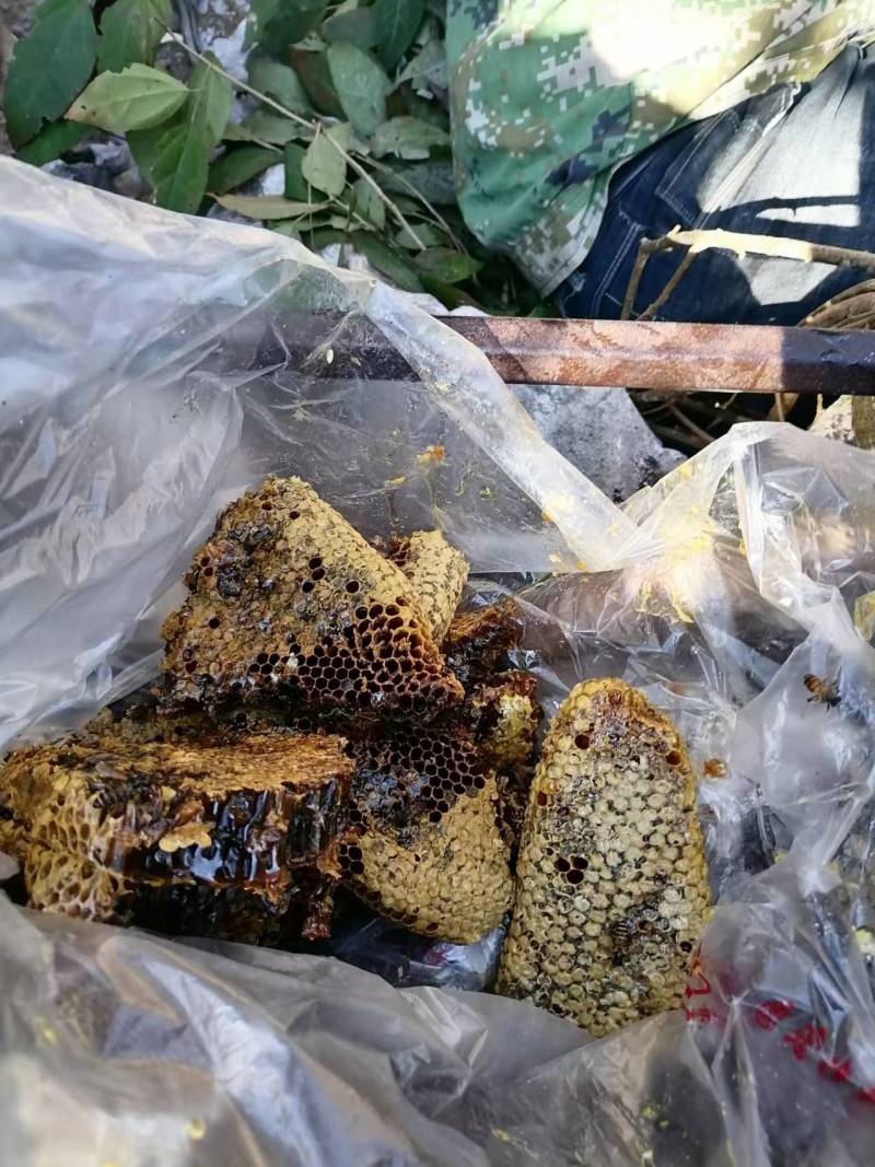 土蜂蜜，高山石头缝里的蜂蜜，冬蜜，起沙的蜂蜜，