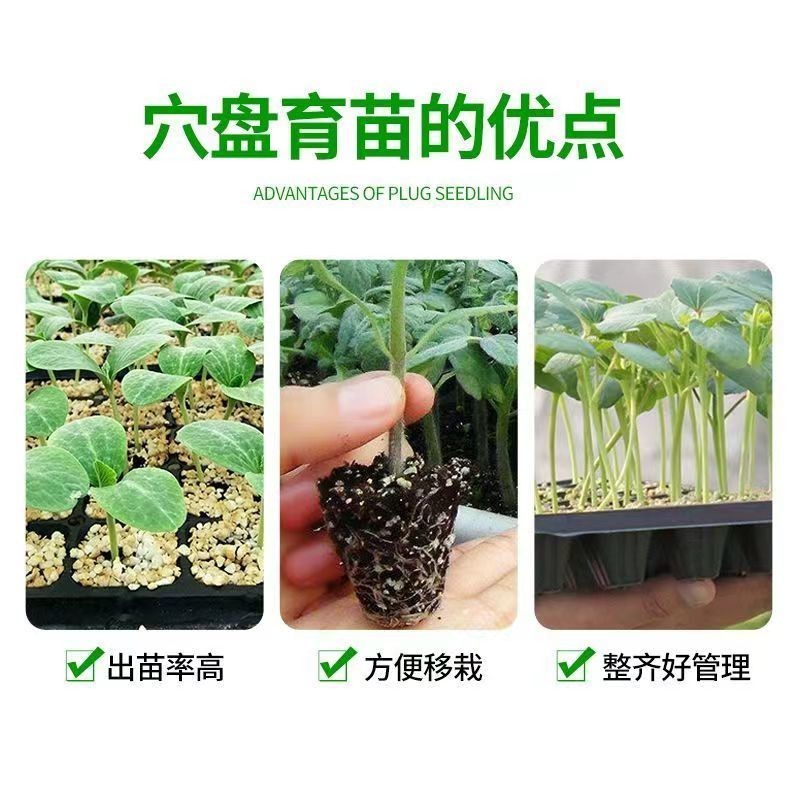 穴盘/育苗穴盘，各种克数，深浅，质量有保证，大量有货