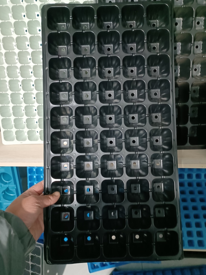 穴盘/育苗穴盘，各种克数，深浅，质量有保证，大量有货