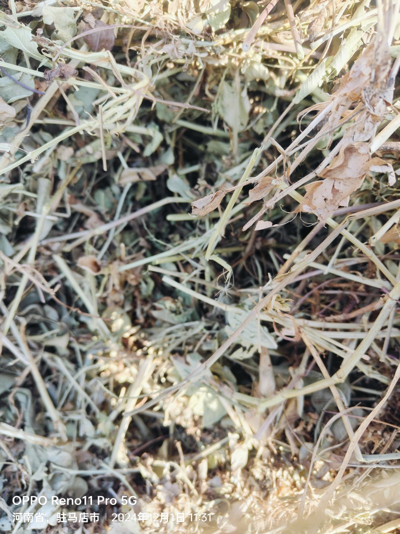 原产地自产自销卖完为止数量不多200吨左右