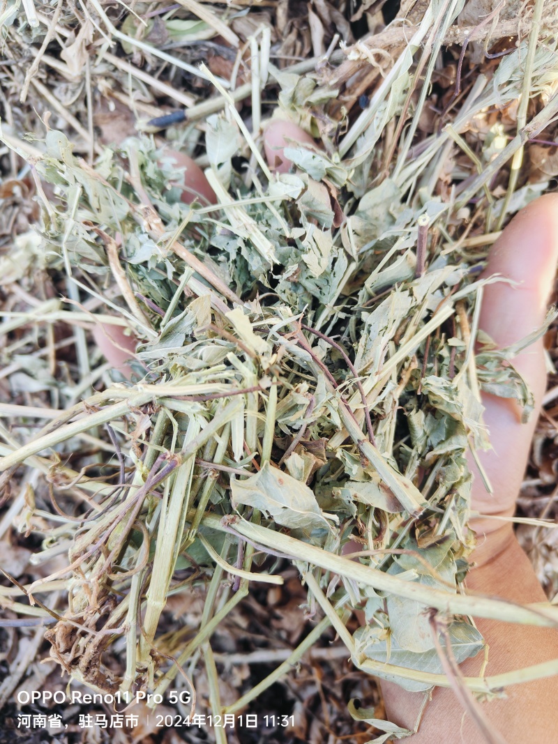 原产地自产自销卖完为止数量不多200吨左右