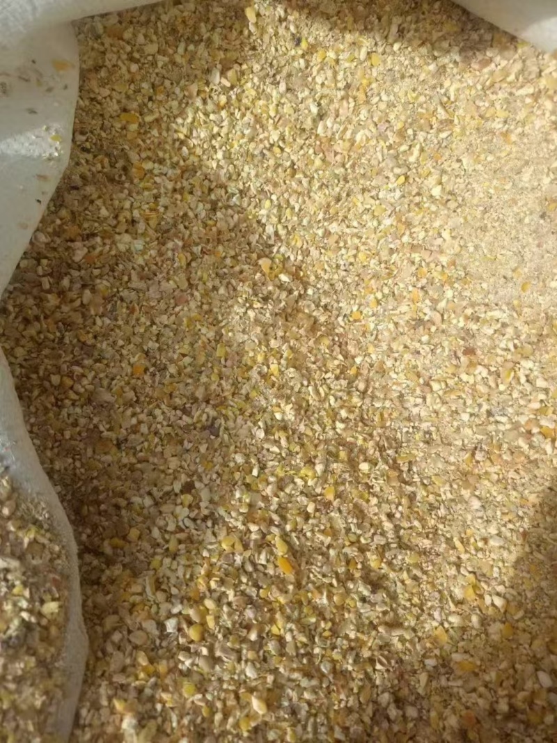 碎玉米净粮毛粮无土无沙无霉河北大量批发供应